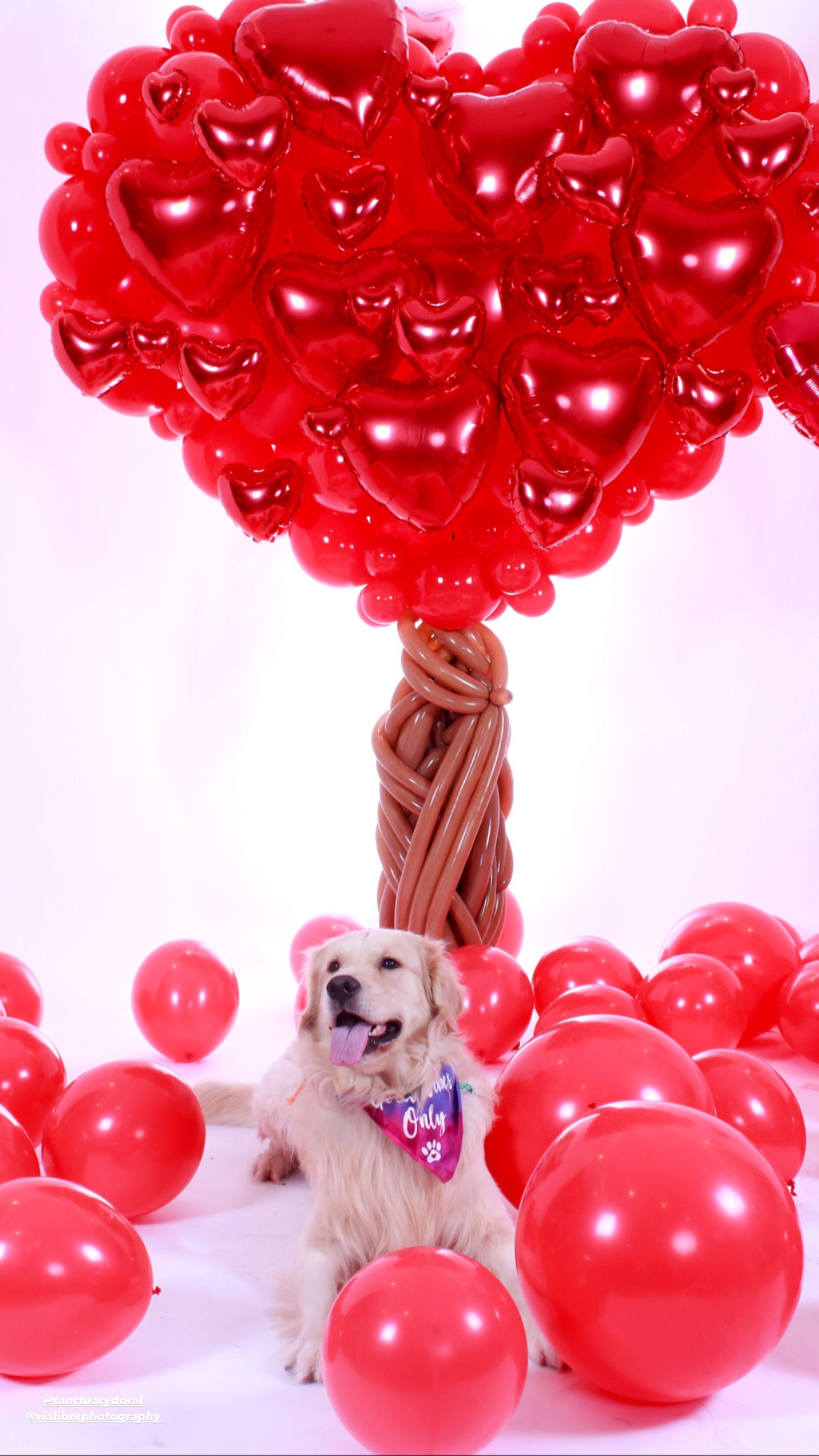 Heart Balloons Tree