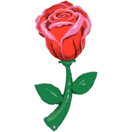 Una Rosa