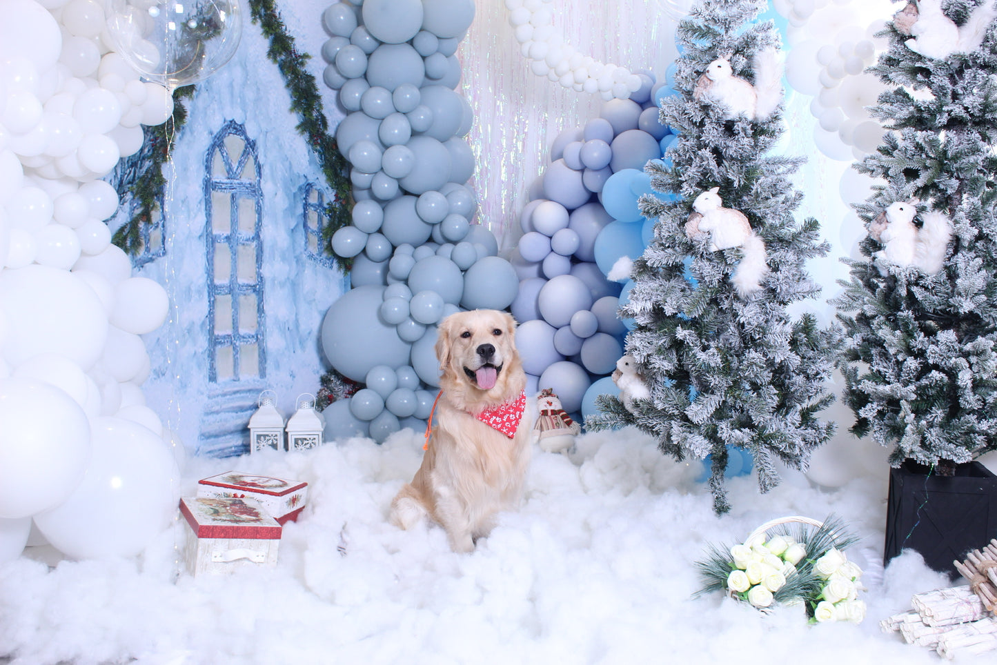 Christmas Set Decor